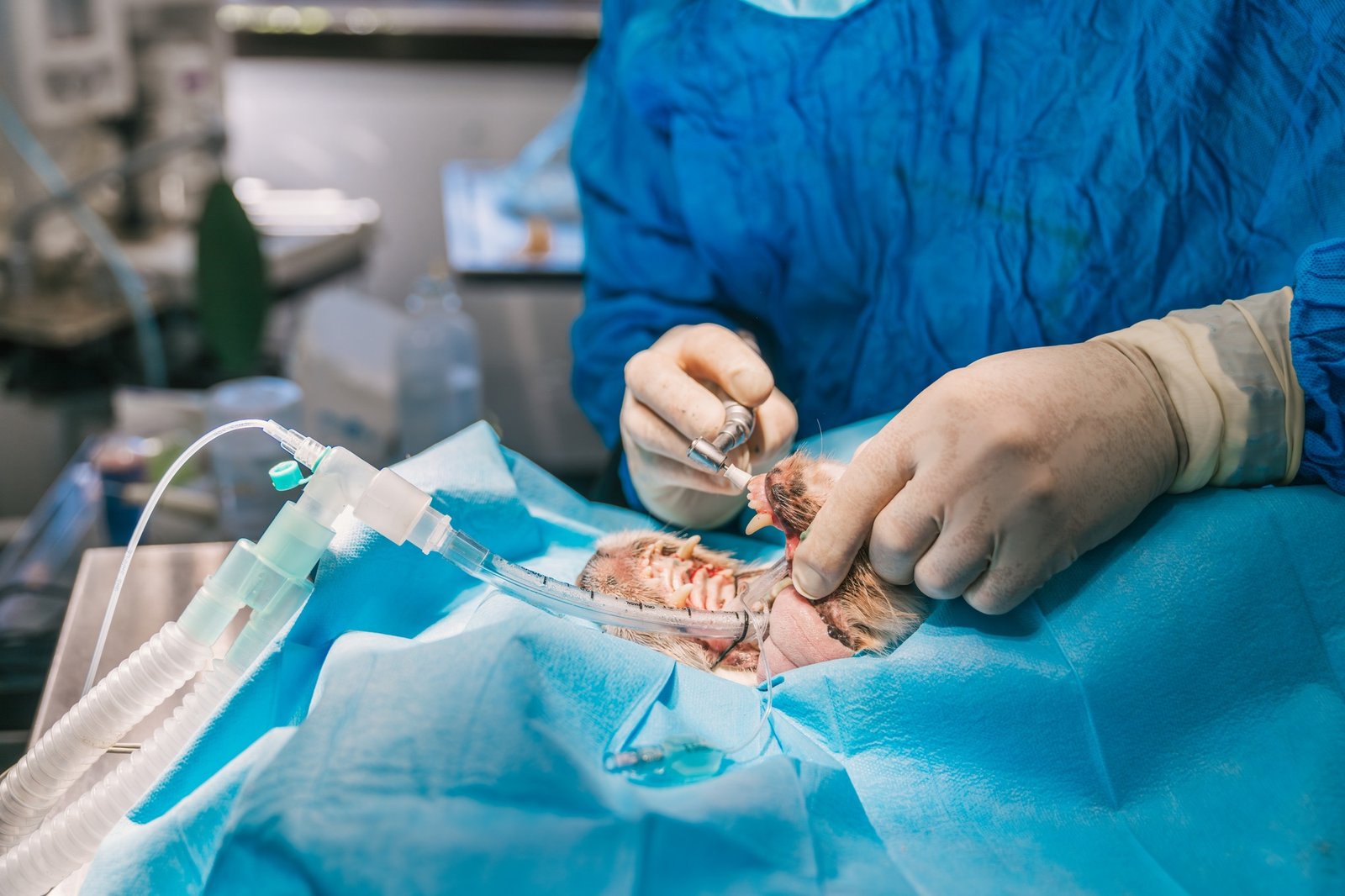 Expert tutor for NEET coaching